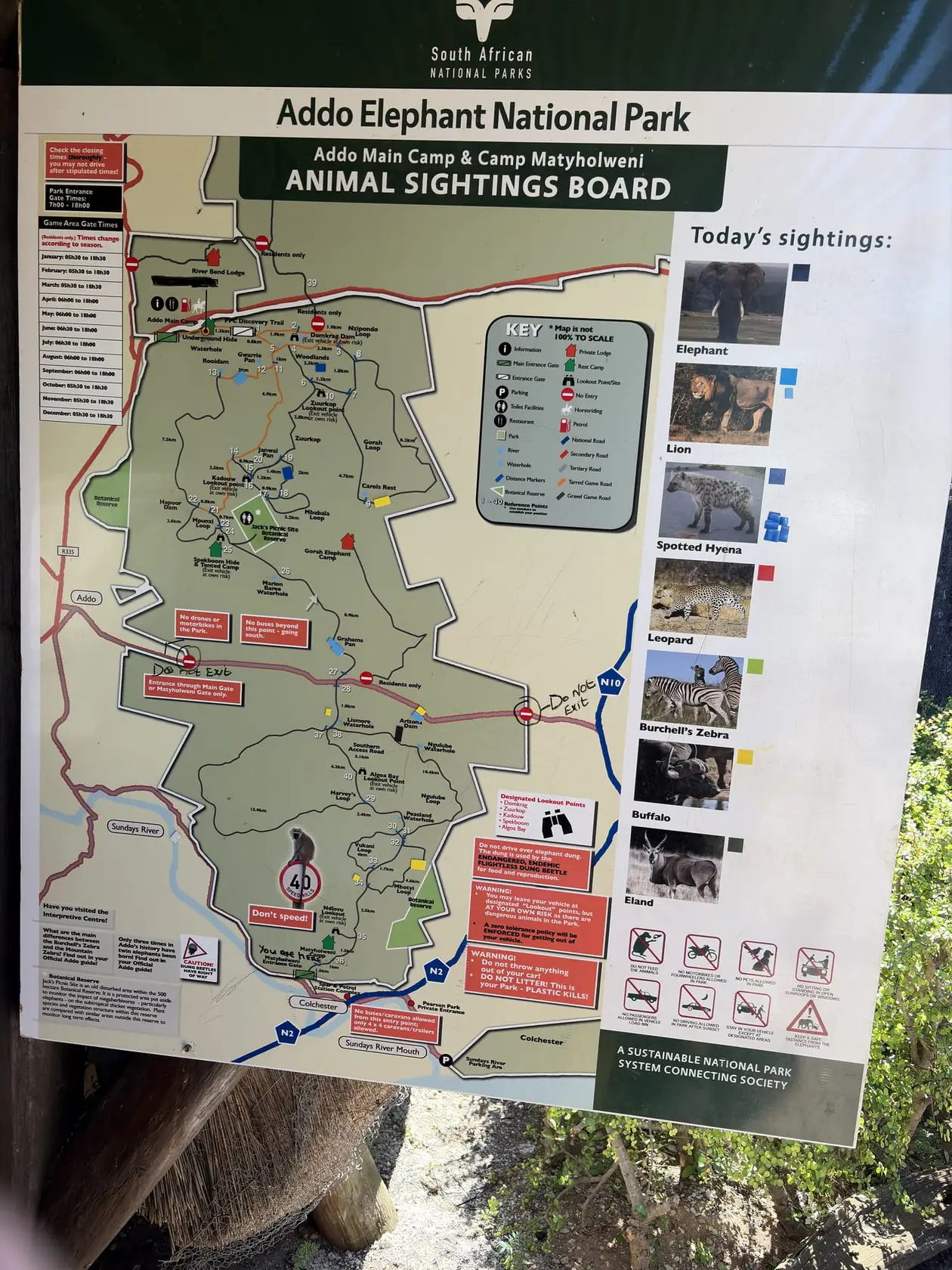 Informationstafel am Eingang des Addo Elephant Nationalpark mit Karte und aktuellen Tiersichtungen