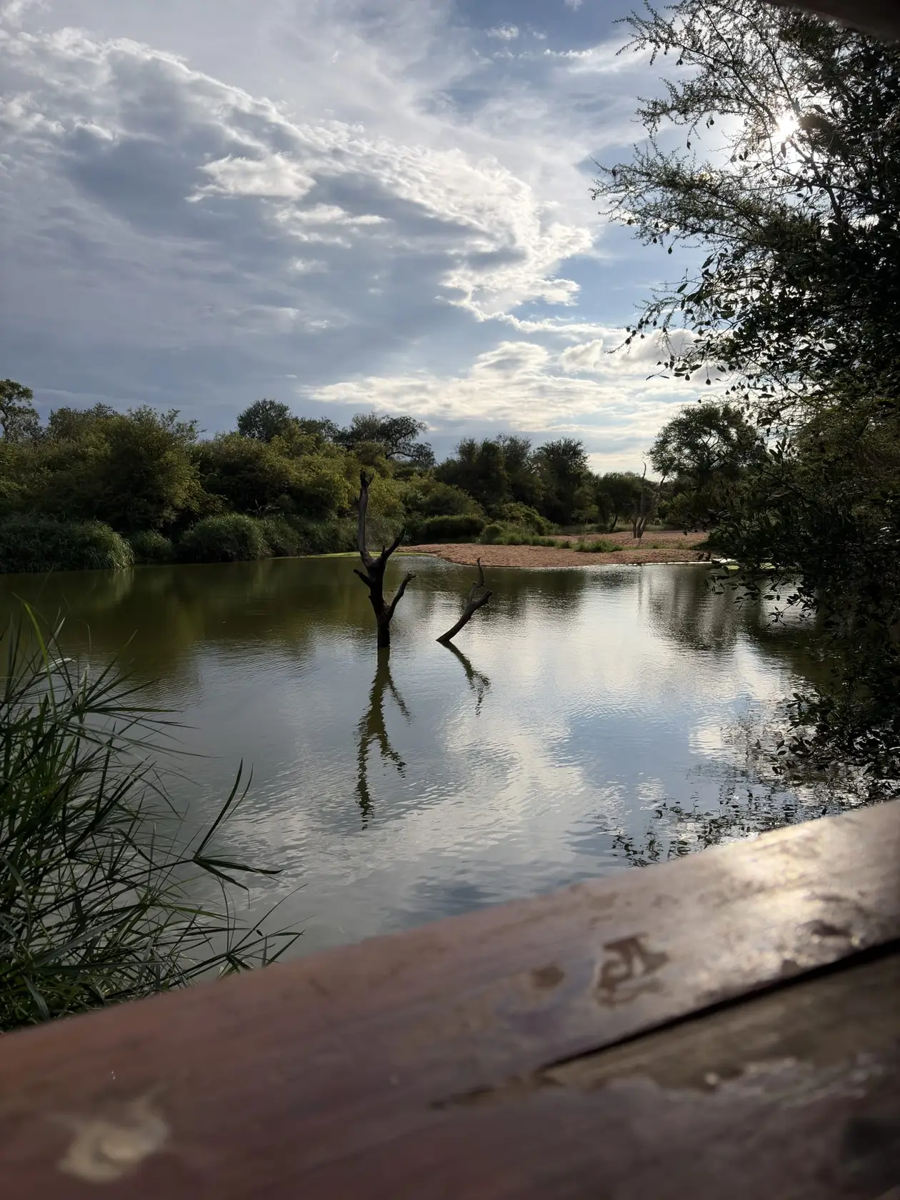 Blick von einer Holzterrasse über einen ruhigen Fluss, Bäume am Ufer, Abendlicht