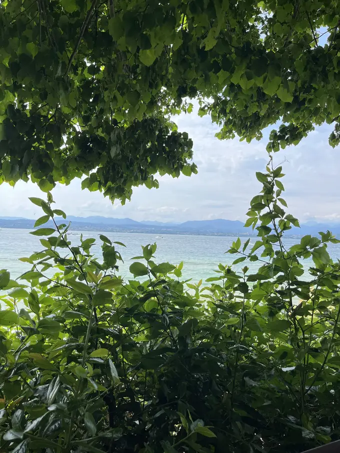 Durch eine Lücke in Blättern und Sträuchern hindurch blickt man auf den türkisen Gardasee und eine Bergkette am anderen Ufer