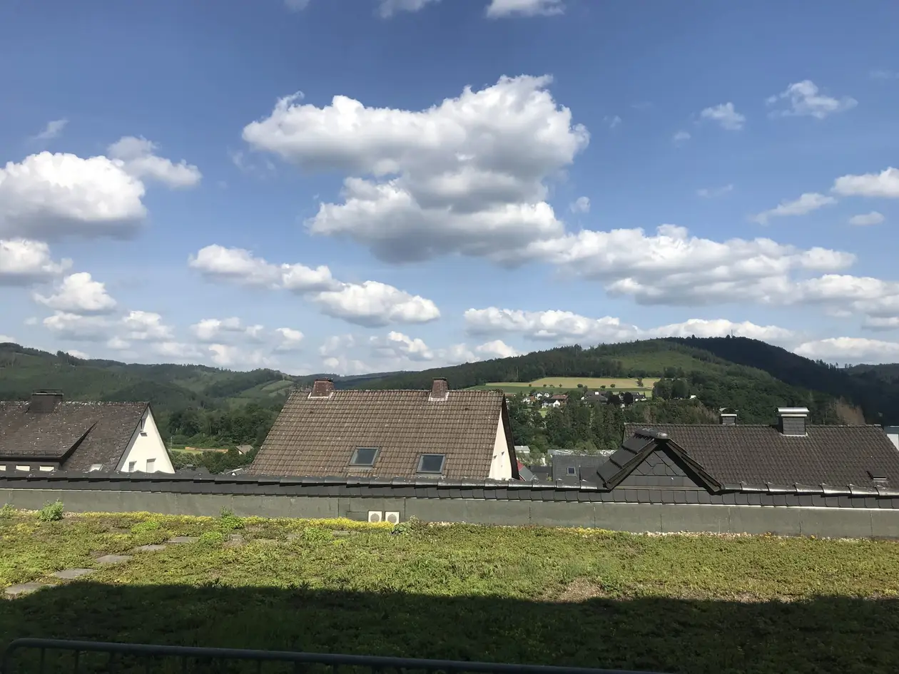 Blick über ein begrüntes Flachdach und die Dächer der Nachbarhäuser auf bewaldete Hügel und Felder, darüber blauer Himmel mit Schönwetterwolken