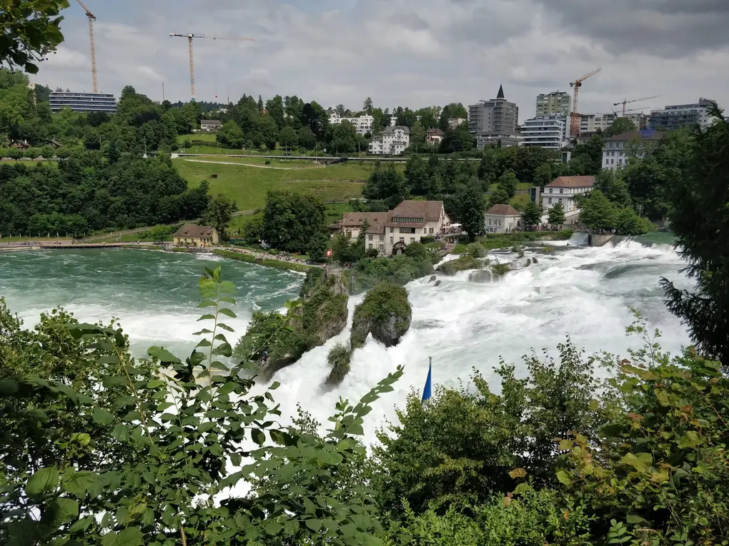 Blick von oben durch Blätter auf den Rheinfall, das Wasser stürzt weiß an zwei Felsen vorbei, dahinter Häuser, eine Wassermühle und Baukräne