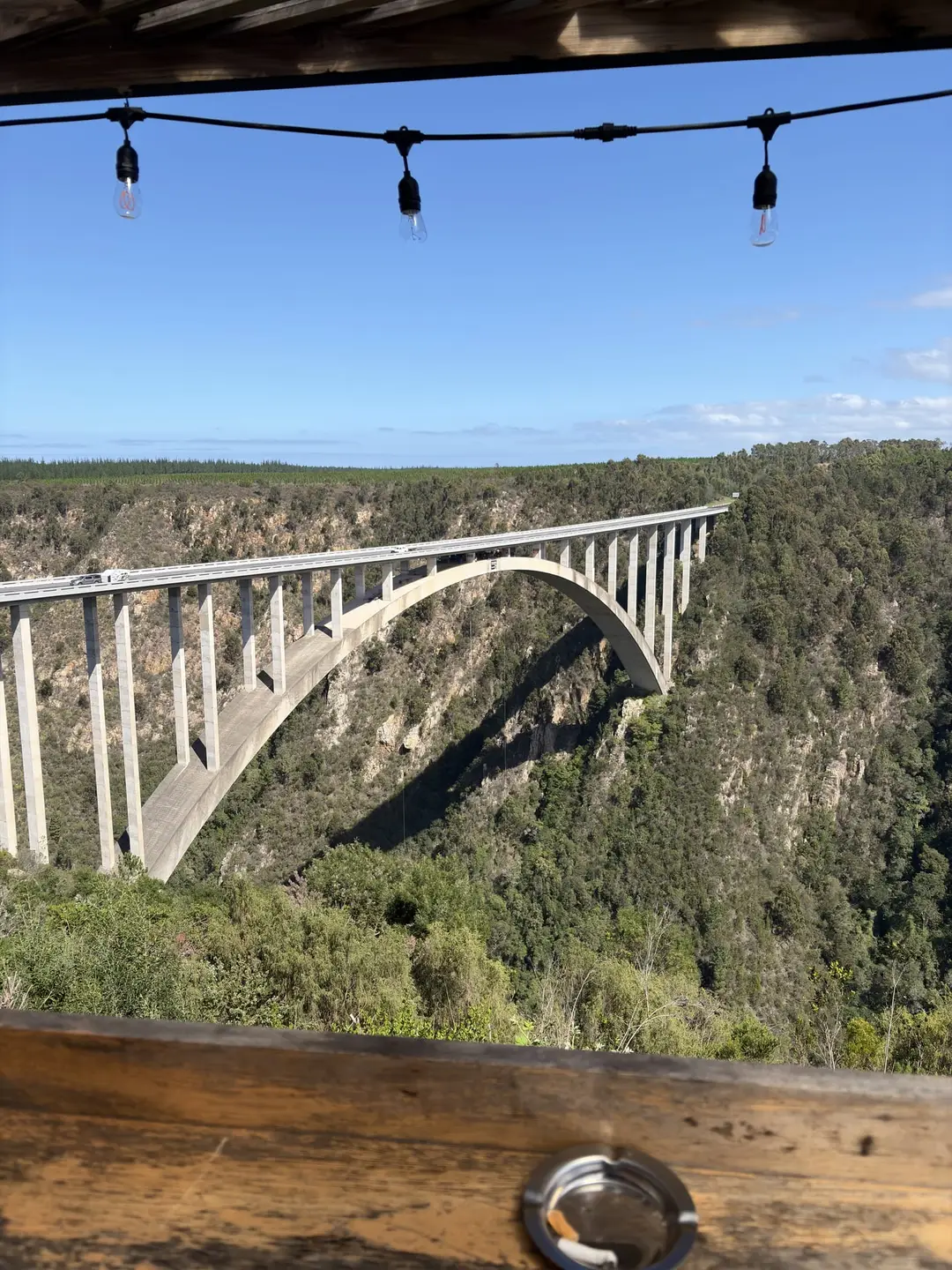 Die Bloukrans Bridge spannt sich über eine bewaldete Schlucht, Blick von der Aussichtsplattform aus