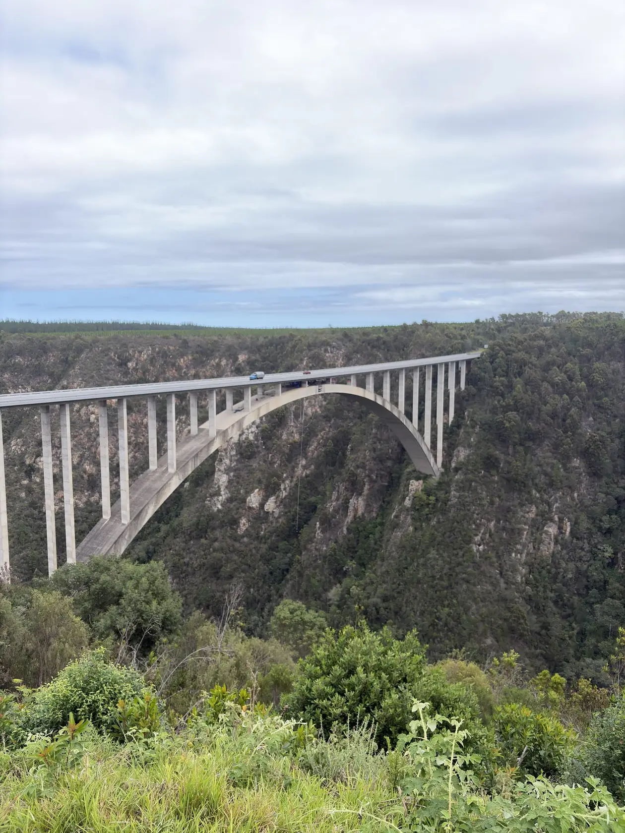Die grau-weiße Bogenbrücke der Bloukrans Bridge über eine bewaldete Schlucht, von der Seite gesehen unter bewölktem Himmel