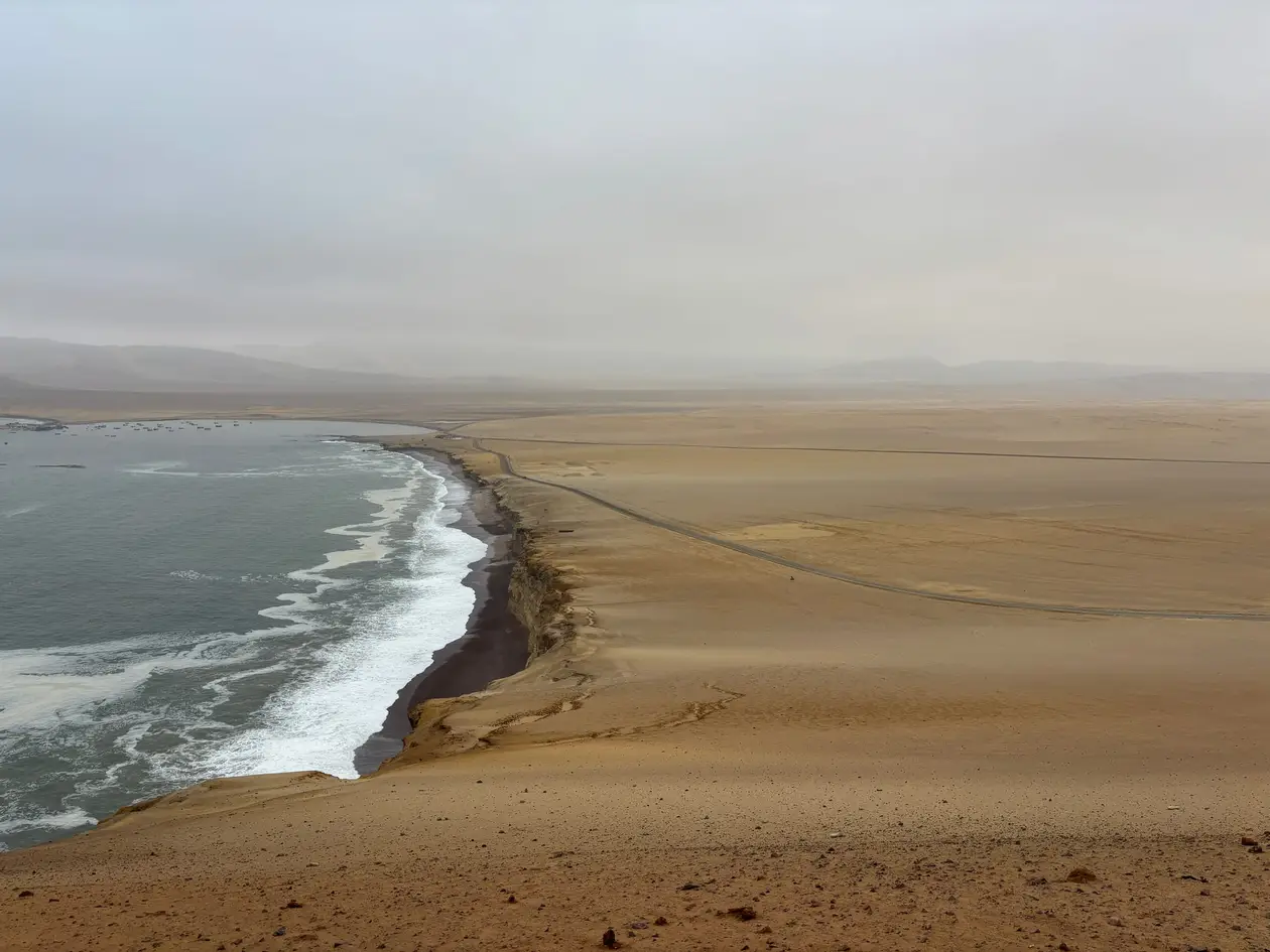 Blick von einer Anhöhe auf eine weite Bucht mit dunklem Strand und weißer Brandung, dahinter flache Wüste unter bedecktem Himmel