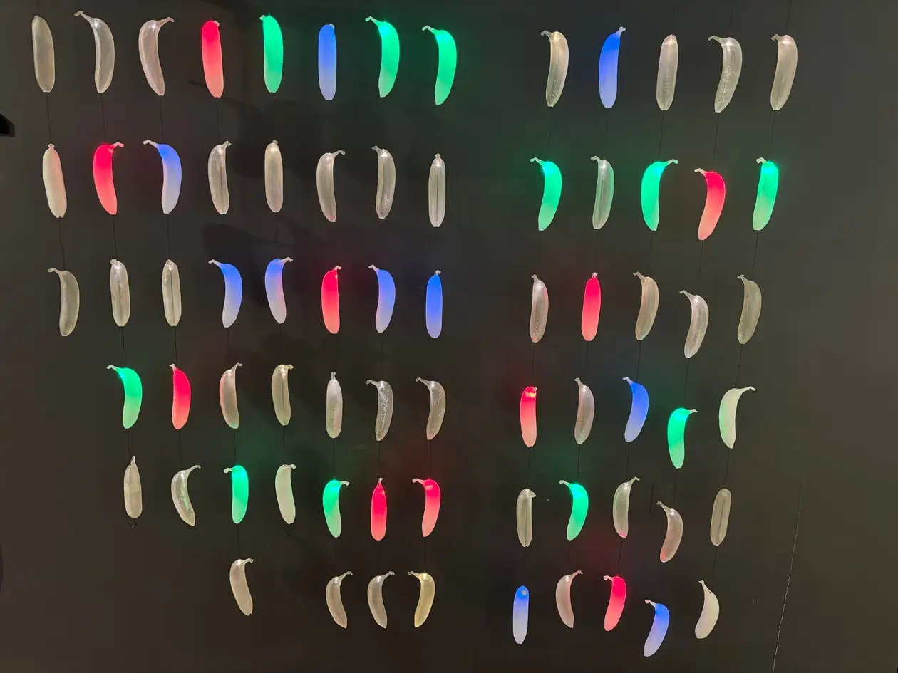 Kunstinstallation mit vielen kleinen Bananenstücken, farbig beleuchtet in einem Raster angeordnet