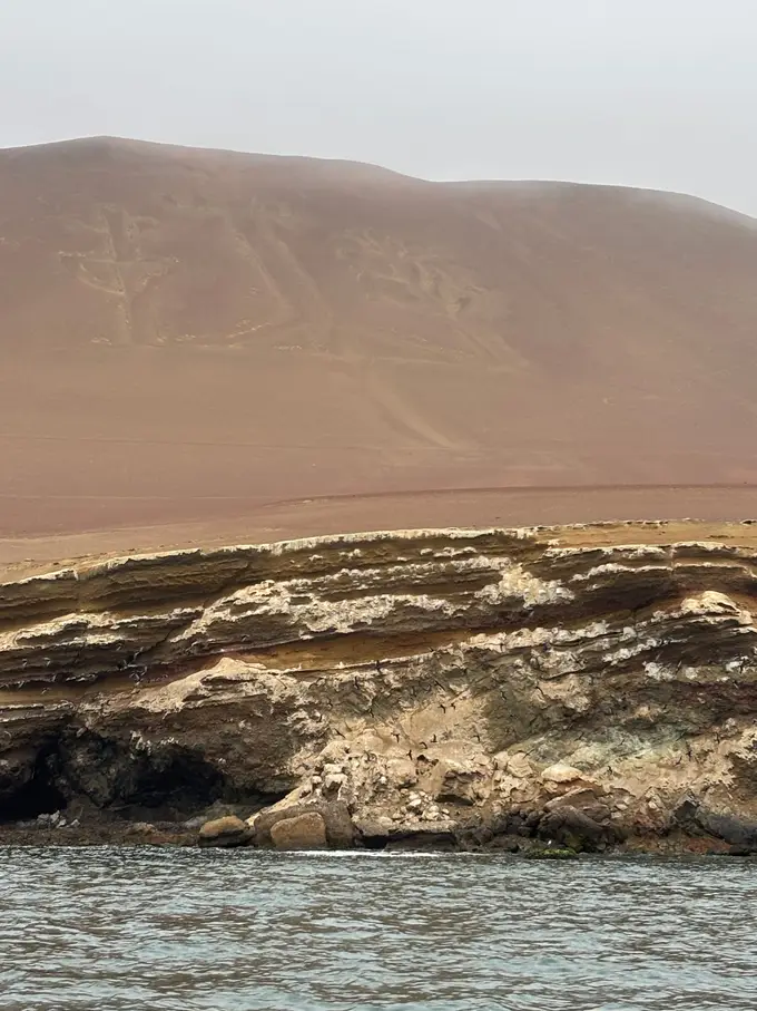 Der riesige Kandelaber als helle Linien in einem rötlichen Sandhang über einer Steilküste