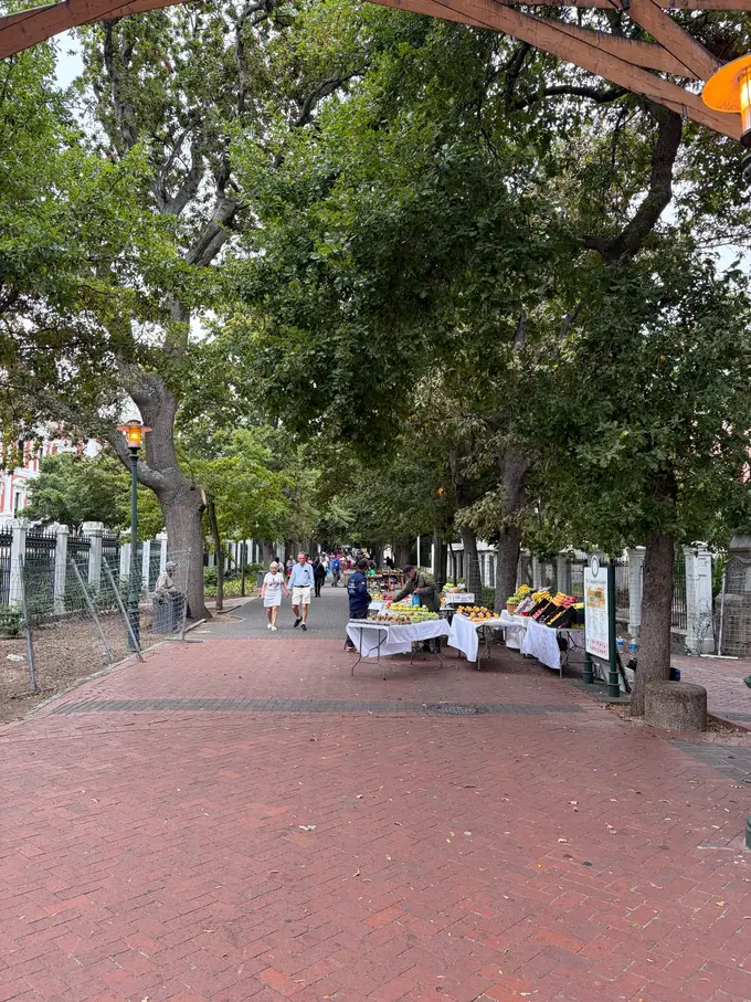 Ein von großen alten Bäumen gesäumter Weg im Company's Garden, im Hintergrund Marktstände