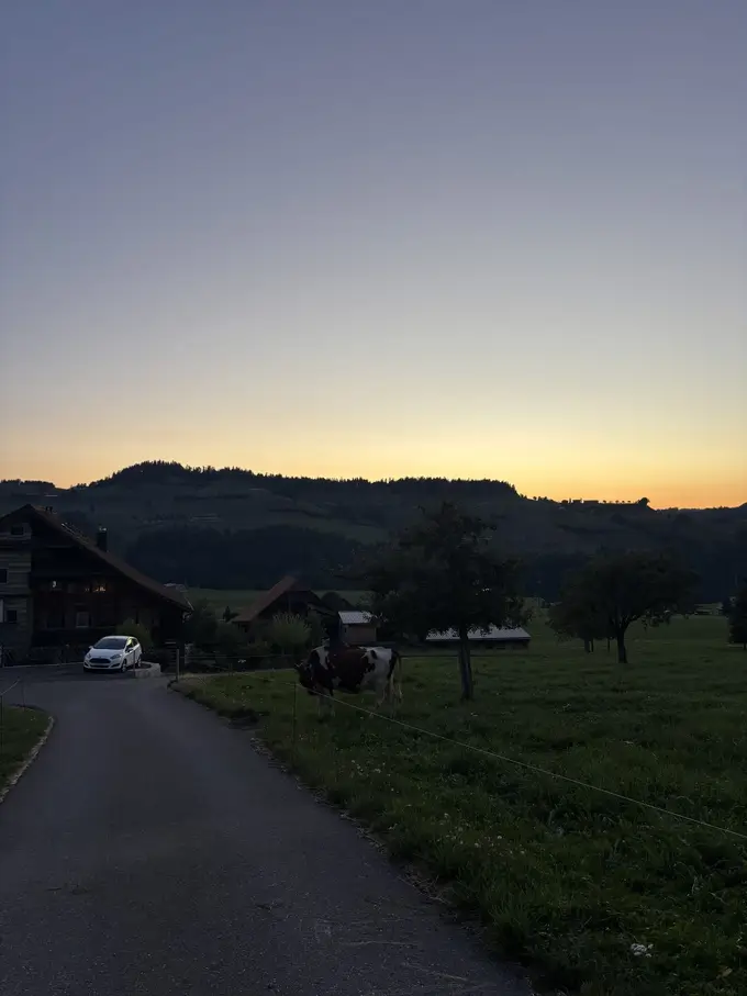 Eine schmale Straße in der Abenddämmerung, daneben eine Wiese mit einer Kuh, im Hintergrund dunkle Hügel und ein Bauernhaus