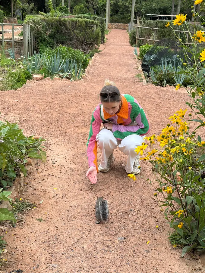 Rebecca kauert auf einem Kiesweg im Company's Garden und streckt die Hand nach einem grauen Eichhörnchen aus
