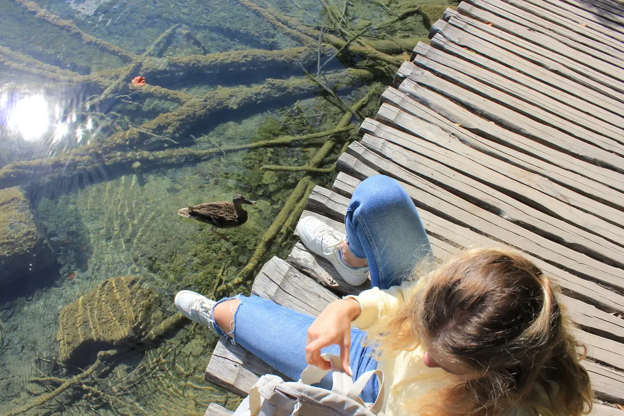 Von oben gesehen sitzt Rebecca auf einem Holzsteg, direkt daneben schwimmt eine Ente im klaren Wasser über versunkenen Ästen