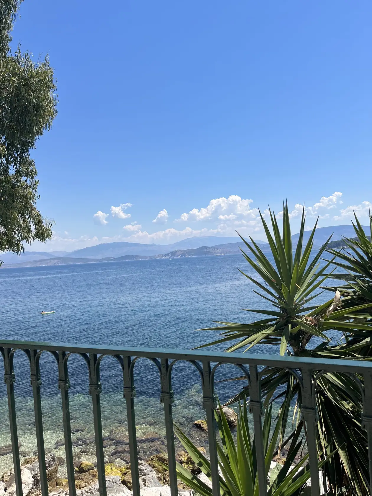 Hinter einem Geländer und einer Palme das Meer, am Horizont die Berge des Festlands