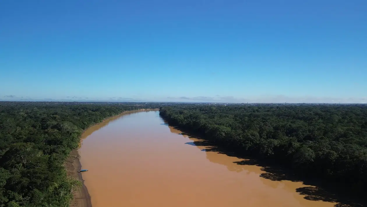 Drohnenblick auf einen breiten lehmbraunen Fluss, der gerade durch geschlossenen Regenwald bis zum Horizont läuft