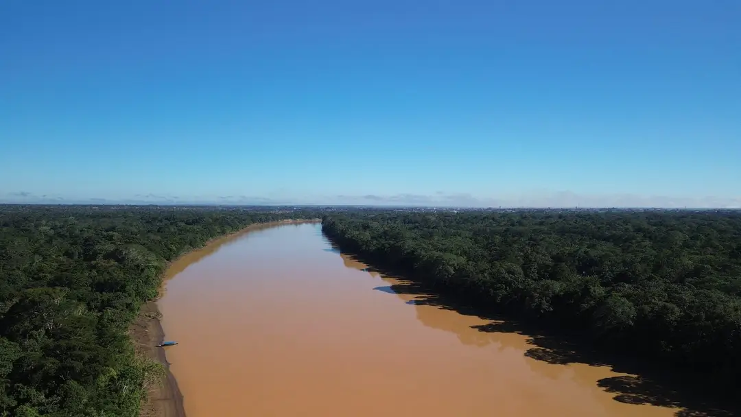 Drohnenblick auf einen breiten lehmbraunen Fluss, der gerade durch geschlossenen Regenwald bis zum Horizont läuft