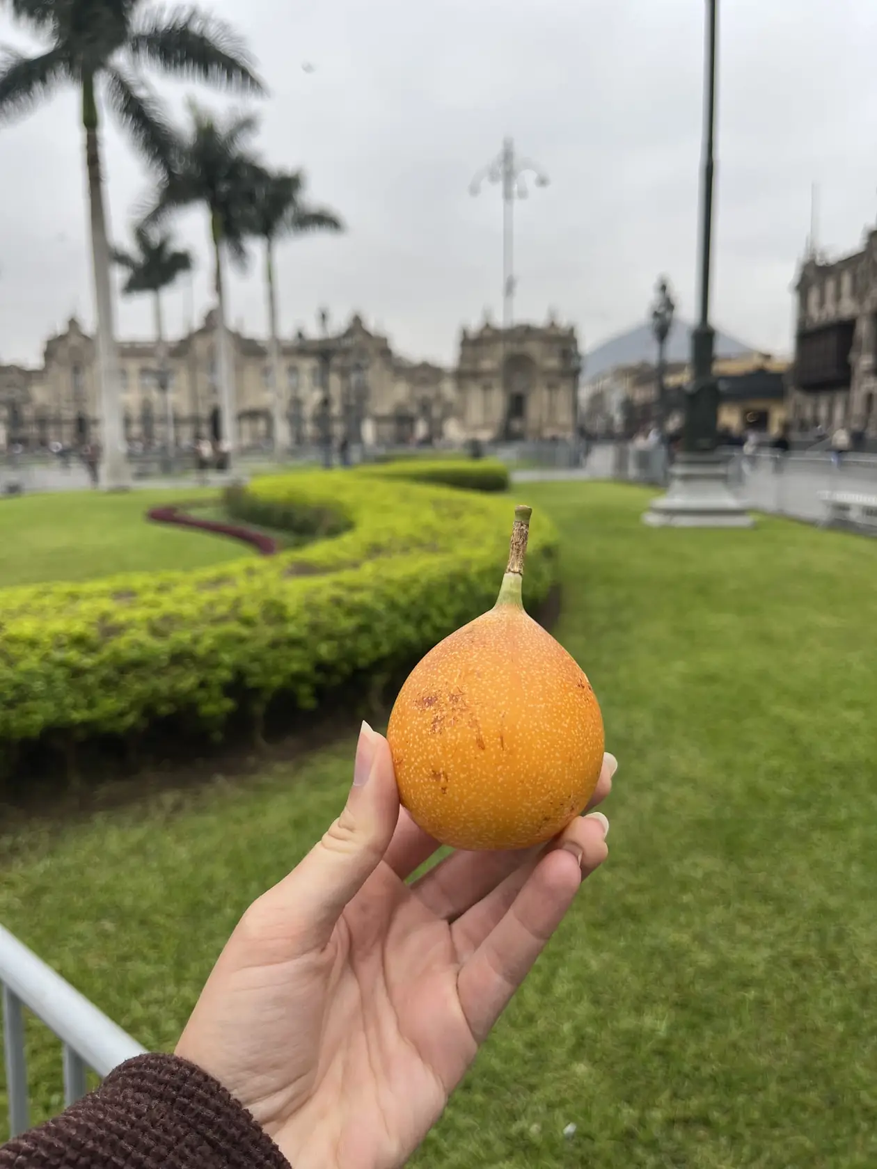 Eine Hand hält eine orangefarbene Granadilla vor die Plaza de Armas in Lima mit Hecken, Palmen und Kolonialfassaden