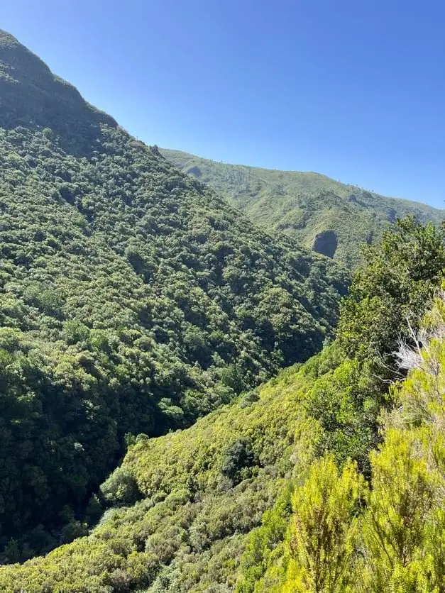 Ein bewaldeter Bergkamm unter blauem Himmel, im Hintergrund weitere grüne Hügel