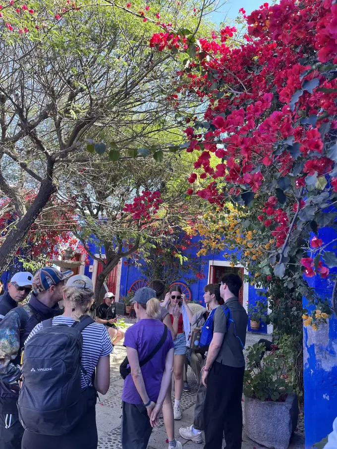 Tourgruppe in einem Hof mit leuchtend blauen Wänden unter blühenden roten Bougainvilleen