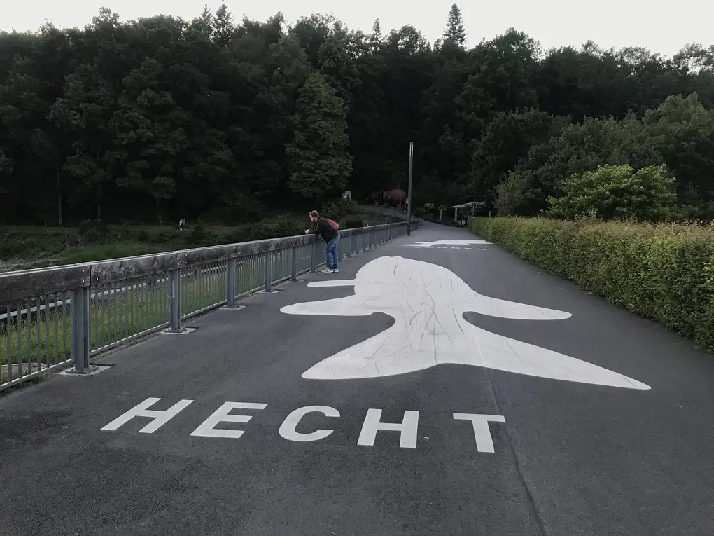 Ein großer weißer Hecht mit dem Schriftzug „HECHT“ ist auf einen asphaltierten Weg gemalt, weiter hinten ein zweiter Fisch, links ein Geländer, an dem sich eine Person hinunterbeugt