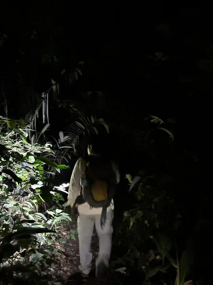 Eine Person mit Rucksack geht nachts auf einem schmalen Pfad, nur ein Stück Blattwerk vor ihr ist von der Lampe beleuchtet