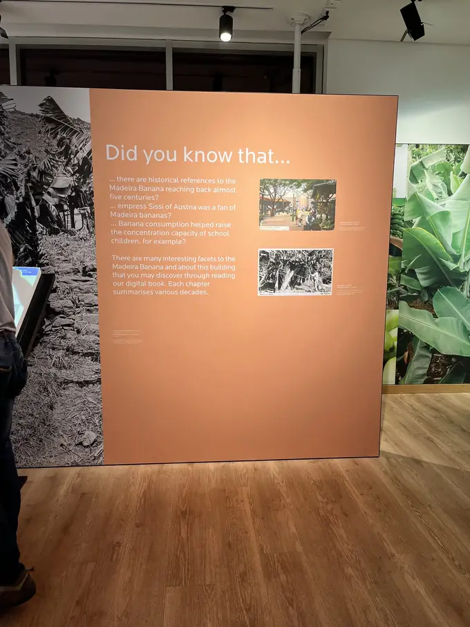 Ausstellungstafel mit der Überschrift „Did you know that...“ vor einer Bananenstauden-Kulisse