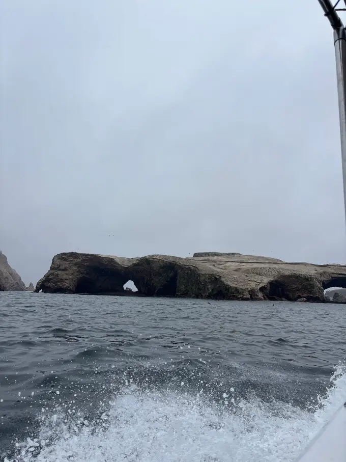 Flache dunkle Felsinsel mit einem natürlichen Felsbogen, davor Gischt vom fahrenden Boot unter grauem Himmel