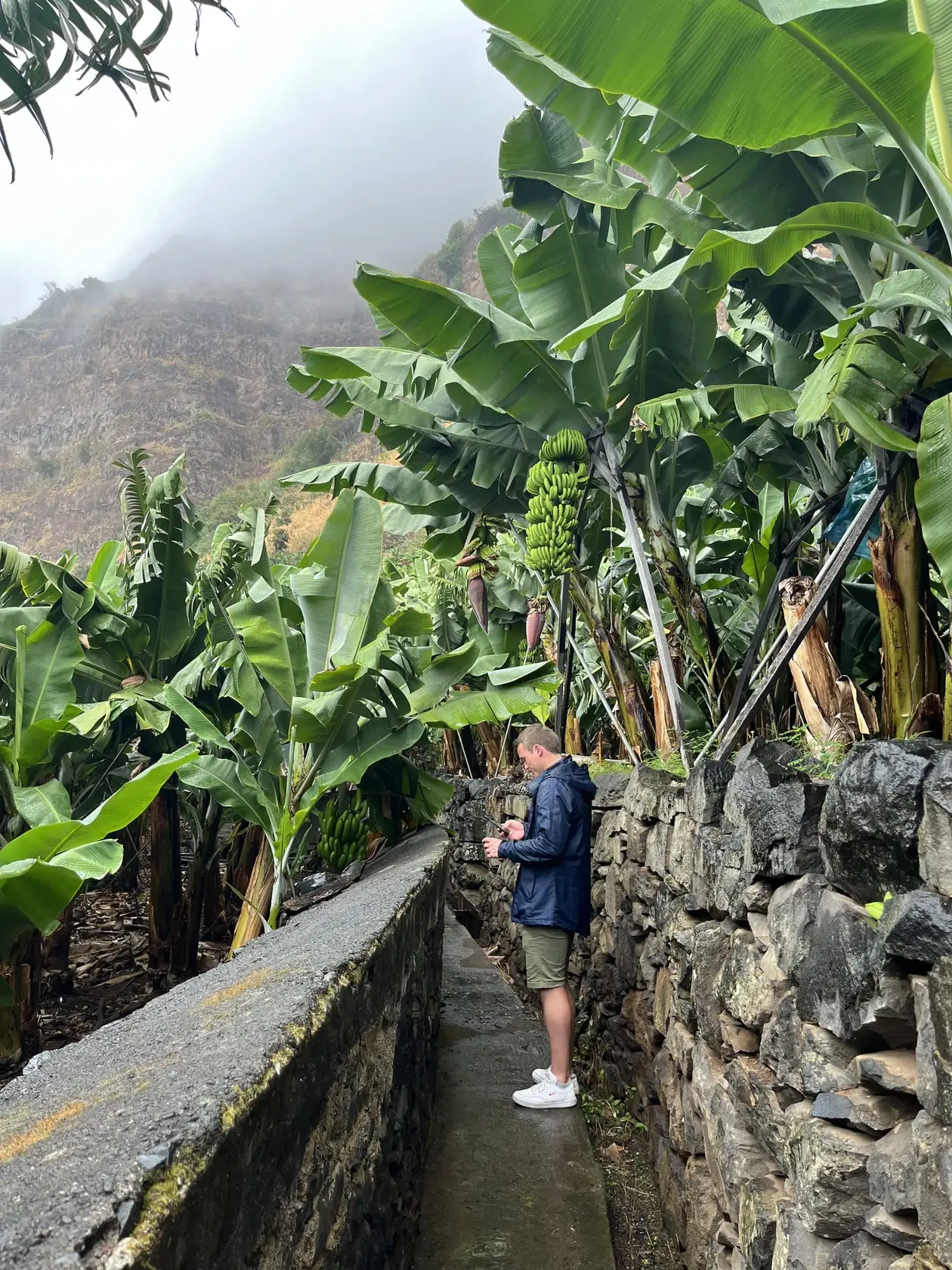 Person geht auf einem schmalen, von einem Wasserkanal begleiteten Weg zwischen Bananenstauden