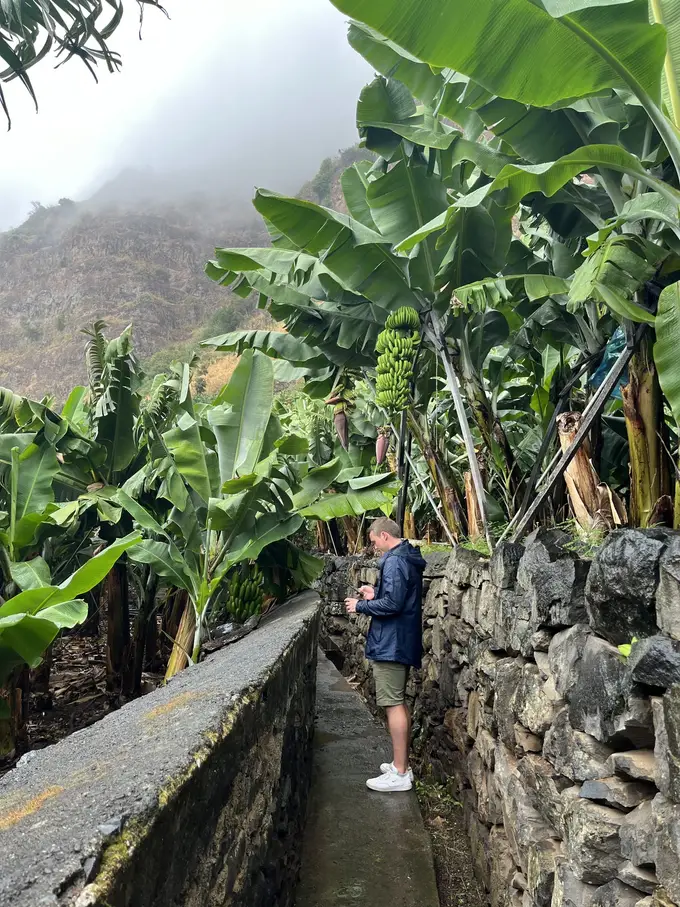 Person geht auf einem schmalen, von einem Wasserkanal begleiteten Weg zwischen Bananenstauden