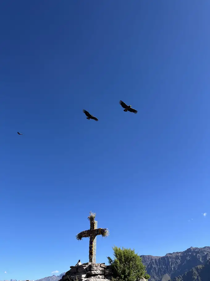 Zwei Kondore kreisen im blauen Himmel über dem Steinkreuz am Mirador Cruz del Cóndor