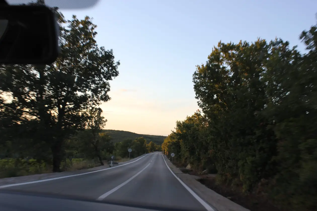 Blick durch die Windschutzscheibe auf eine Landstraße zwischen Bäumen im Abendlicht, oben im Bild der Rückspiegel