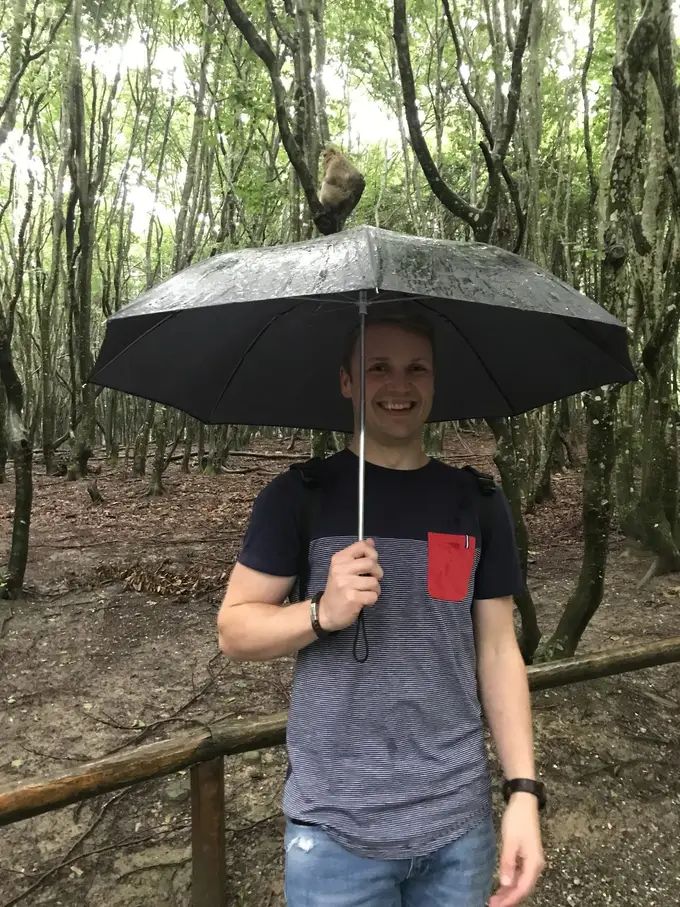 Max steht lachend mit Regenschirm an einem Holzgeländer im Wald, über ihm sitzt ein Berberaffe in einer Astgabel