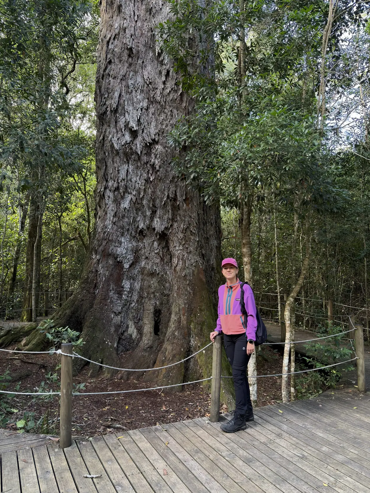 Rebecca steht klein neben dem riesigen Stamm des Big Tree im Wald