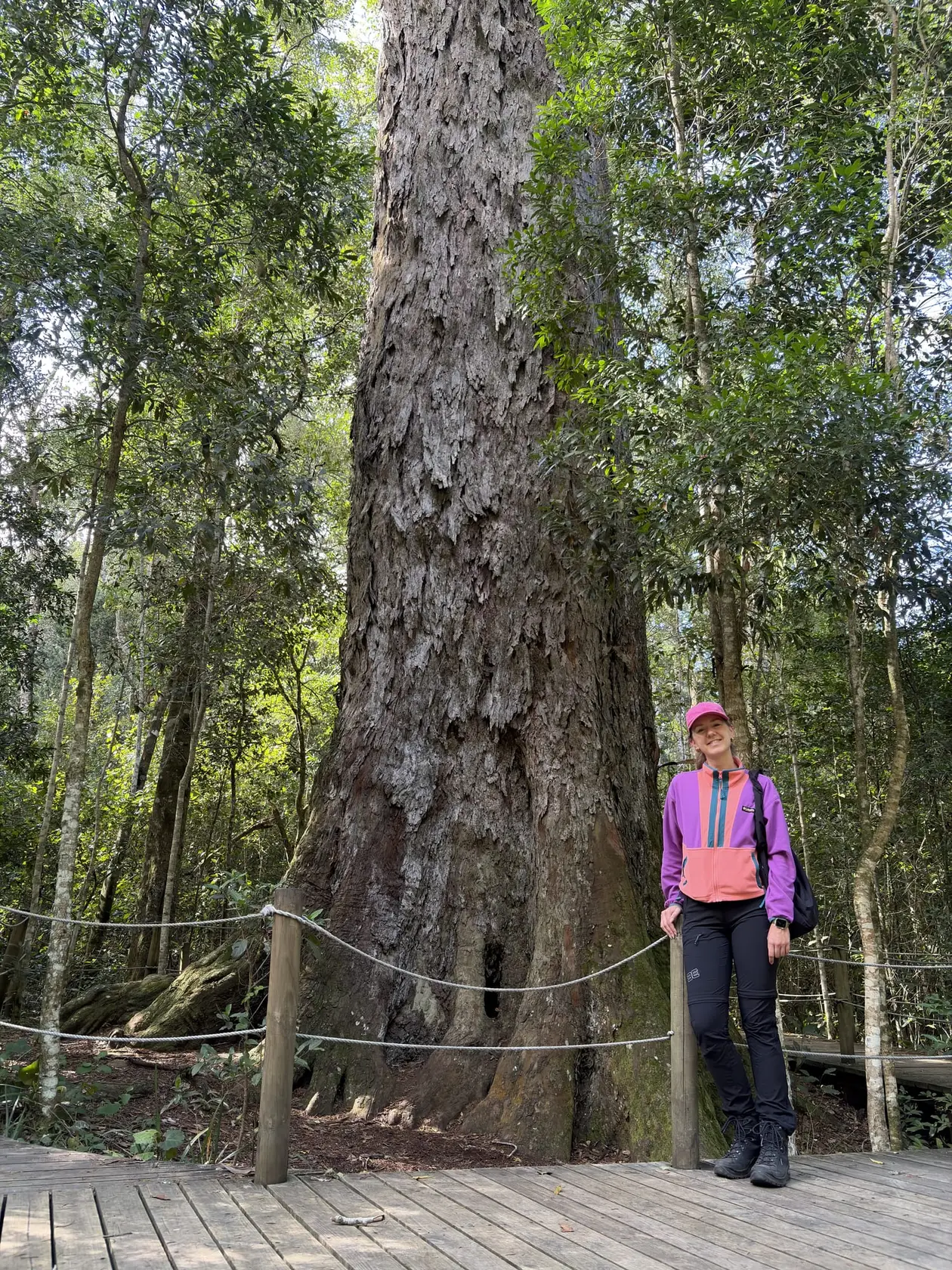 Rebecca steht auf dem Holzsteg vor dem riesigen Stamm des Big Tree im Wald
