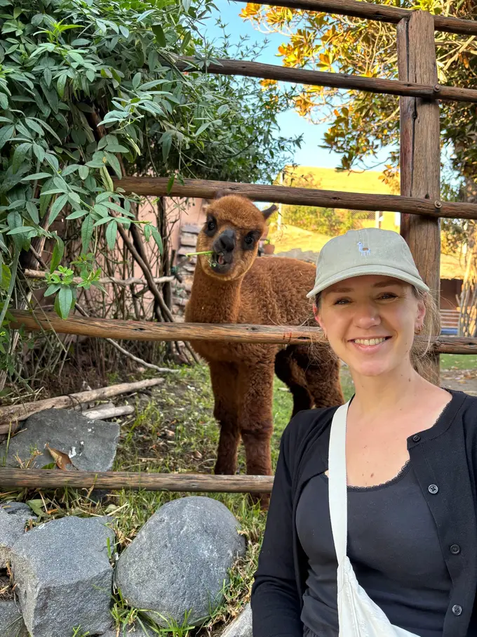 Rebecca mit Schirmmütze lächelt in die Kamera, hinter ihr steht ein braunes junges Alpaka am Zaun