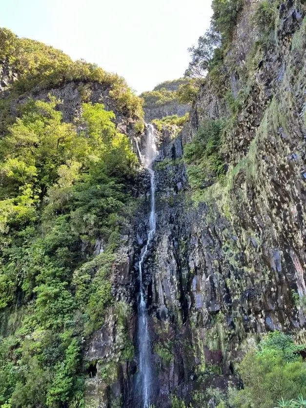 Ein einzelner schmaler Wasserfall stürzt eine hohe, dicht bewachsene Felswand in einer engen Schlucht hinab