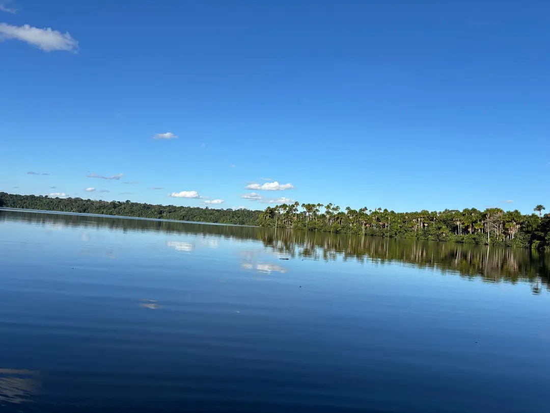Spiegelglatter, dunkelblauer See, am Ufer eine lange Reihe Palmen, darüber blauer Himmel mit kleinen Wolken