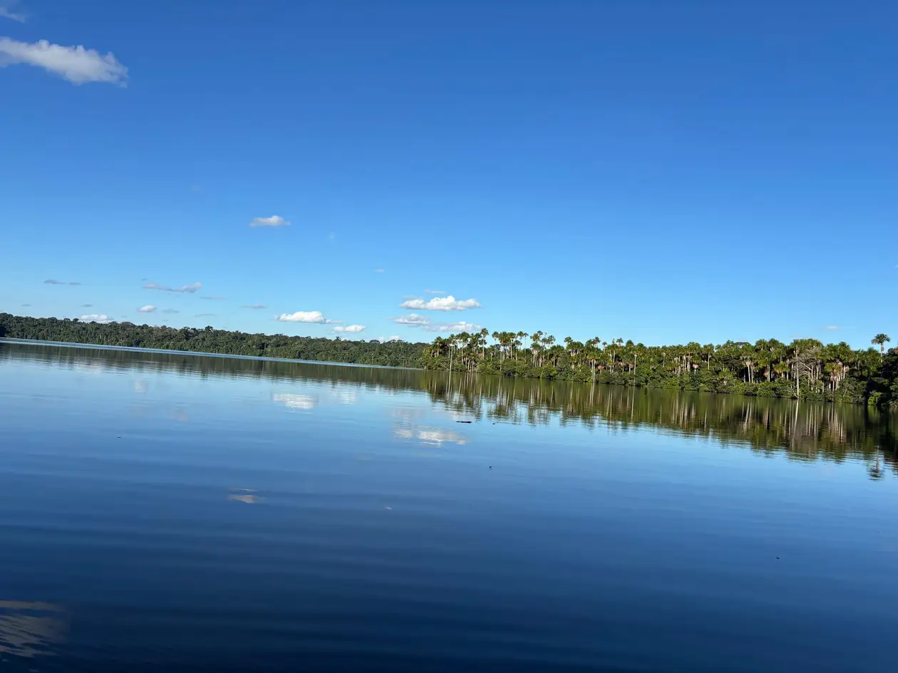 Spiegelglatter, dunkelblauer See, am Ufer eine lange Reihe Palmen, darüber blauer Himmel mit kleinen Wolken