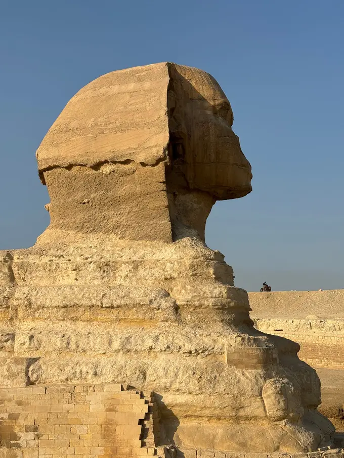 Der Kopf der Sphinx im Profil vor blauem Himmel, darunter der verwitterte Körper und restaurierte Mauerteile