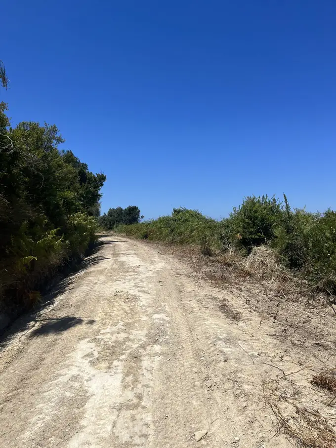 Breiter, staubiger Feldweg in praller Sonne zwischen niedrigen Büschen