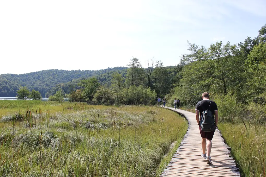 Max mit Rucksack von hinten auf einem Holzsteg durch eine Riedwiese, vor ihm weitere Wanderer, links ein See