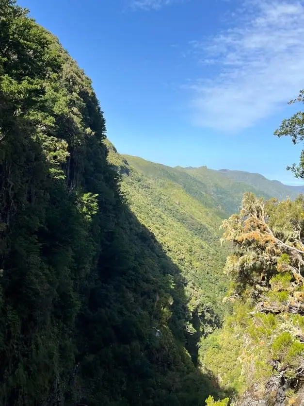 Blick in eine steile, dicht bewachsene grüne Schlucht zwischen zwei Bergkämmen