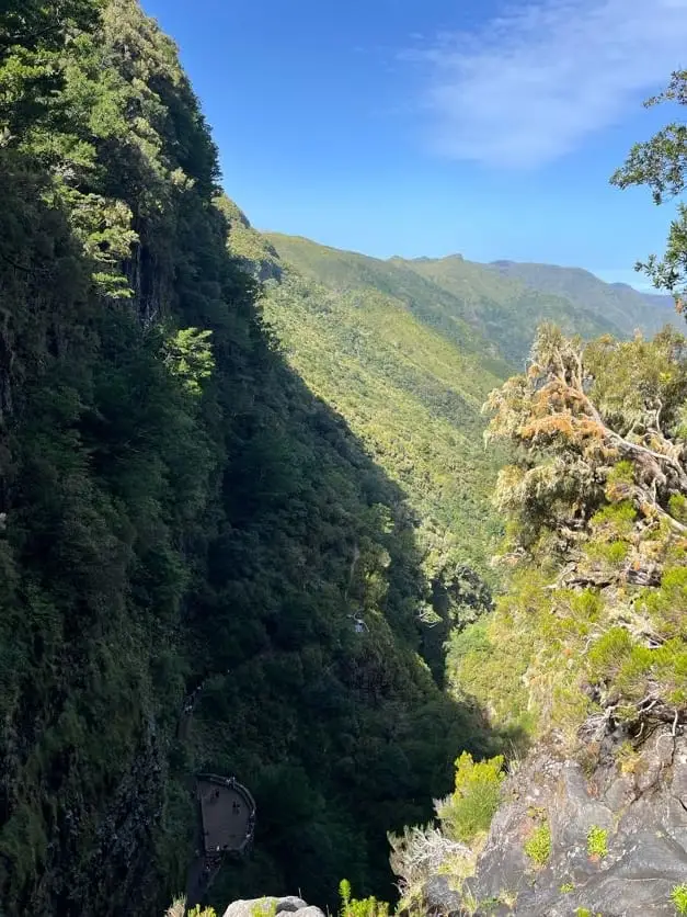 Blick in einen steilen, dicht bewaldeten Taleinschnitt zwischen zwei Bergrücken unter blauem Himmel