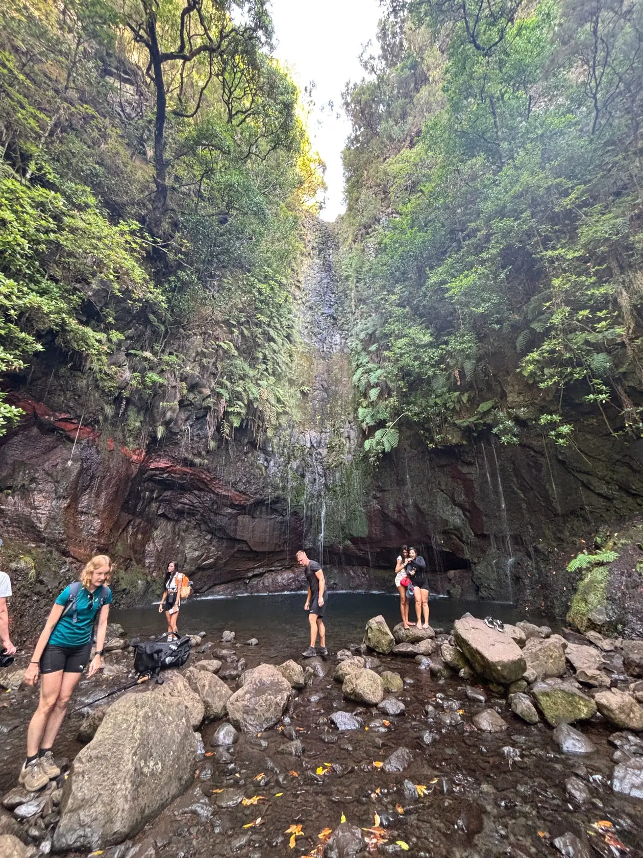 Mehrere Personen stehen am Fuß eines schmalen Wasserfalls in einem dunklen Becken, umgeben von Farnen und moosigem Fels