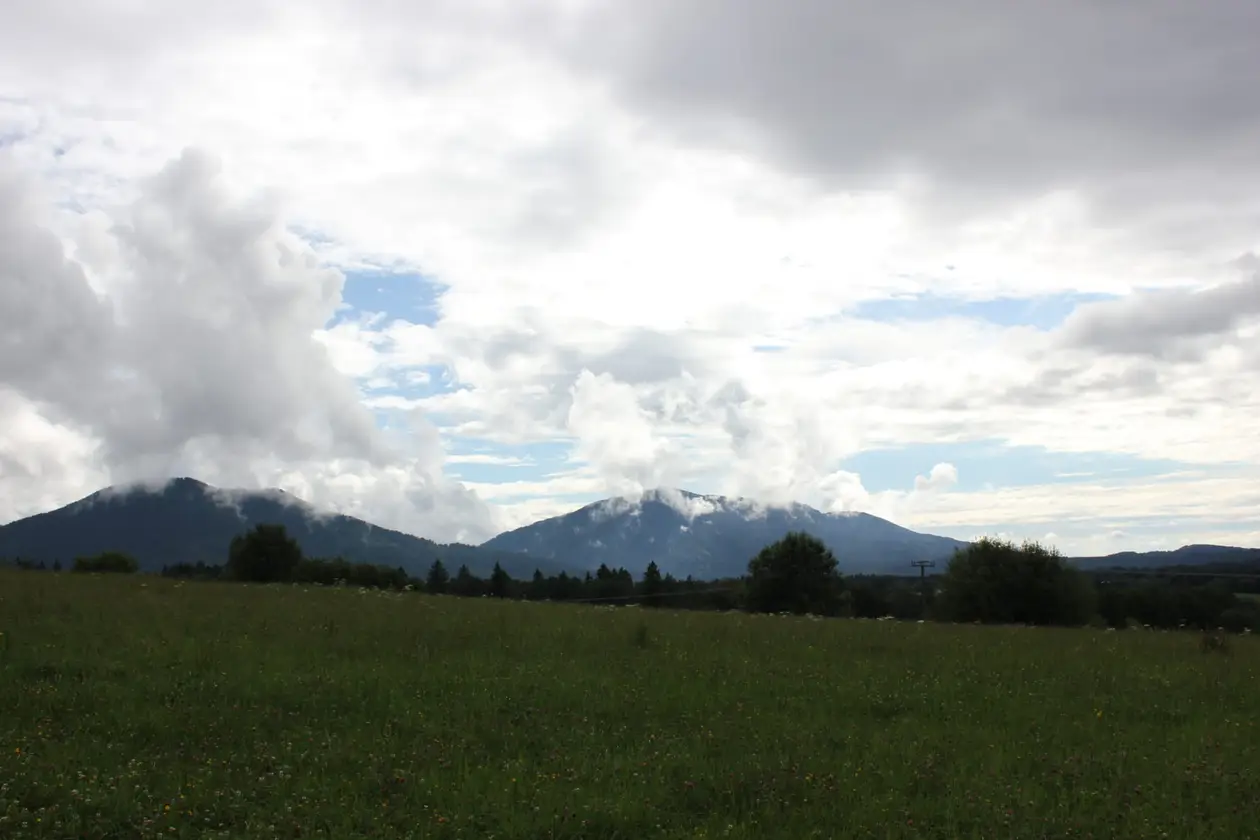 Eine Blumenwiese, dahinter Waldstreifen und zwei bewaldete Berge, deren Gipfel in Wolken hängen